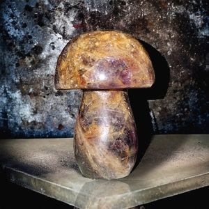 Black Moonstone Mushroom Carving